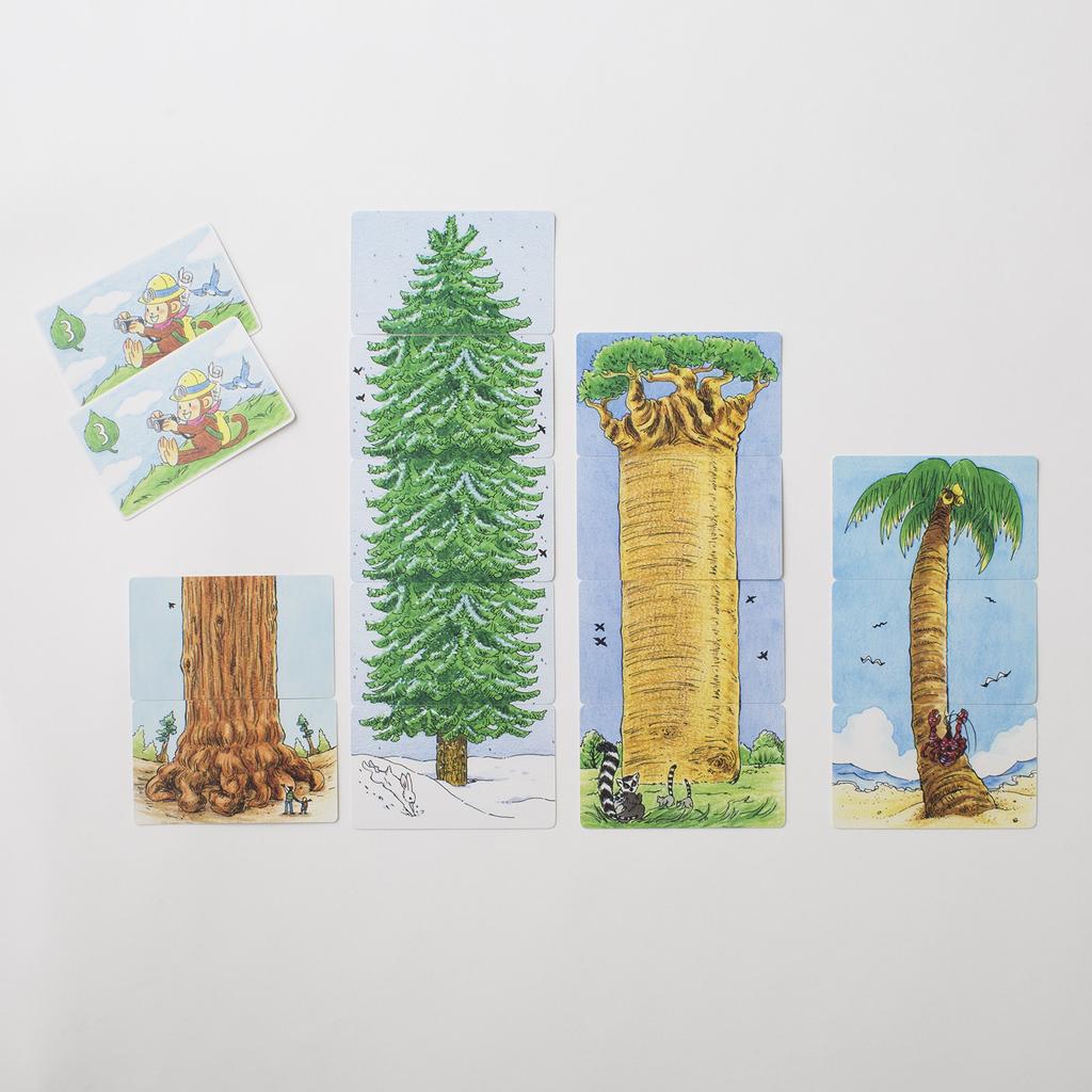 Tsumikiya Sakura no Ki Nobori [The first card game with simple rules]