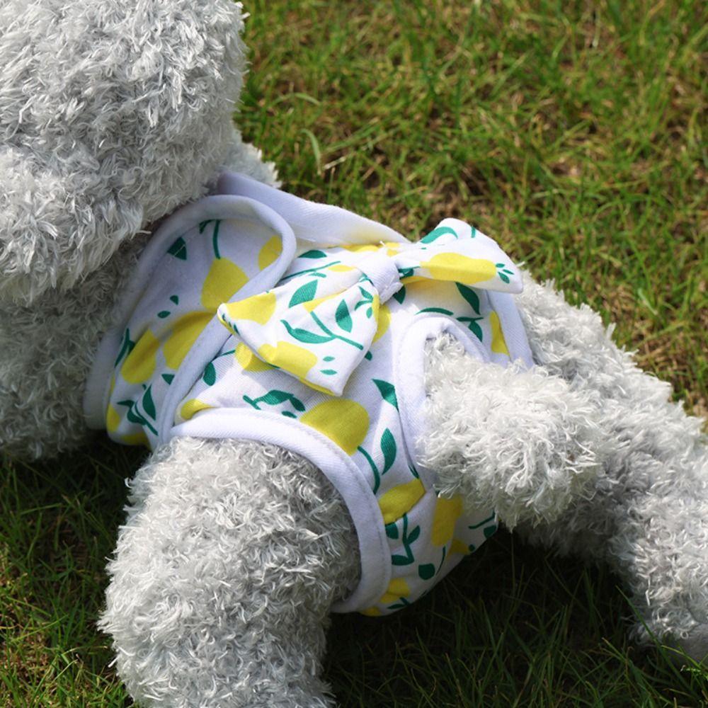 Sanitary Protection Female Dog Pants Cute Physiological Dog Pants Sanitary Dog Pants  Pet Care