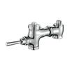 X10147ABSCR Luxury Wall Mounted Chrome Finish Brass Material of Timing Delay Self Closing Stool Flush Valve