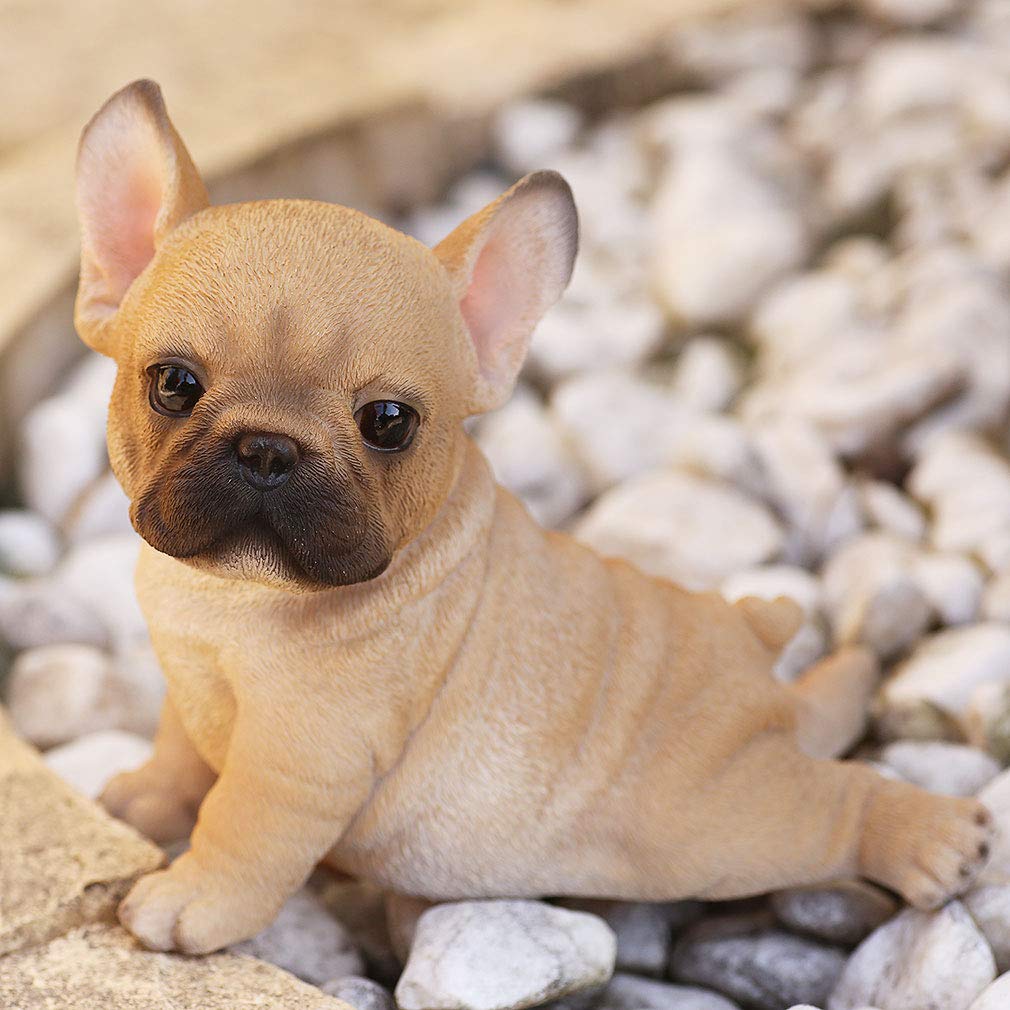 Devalier Ca183 Dog Figurine French Bulldog Made of Perfect Gift [Genuine] Resin,