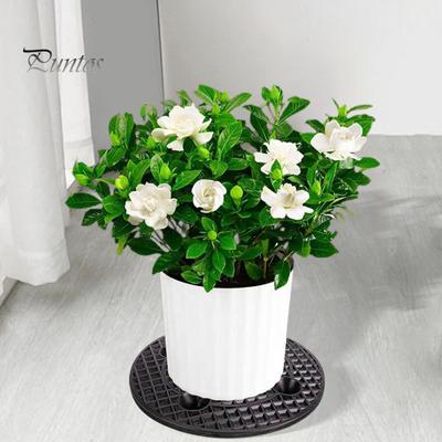 3 confezioni di sollevatori per vasi di piante, supporti per vasi di fiori, supporti per fioriere, piedini per vasi di piante, supporti per pavimenti per terrazze
