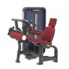 Jieruite J-6027 Seated Leg Extension & Curl Machine