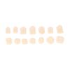 1 Bag Dental Temporary Crown Material For Anterior/Molar Teeth Veneers Gum Protection And Stable