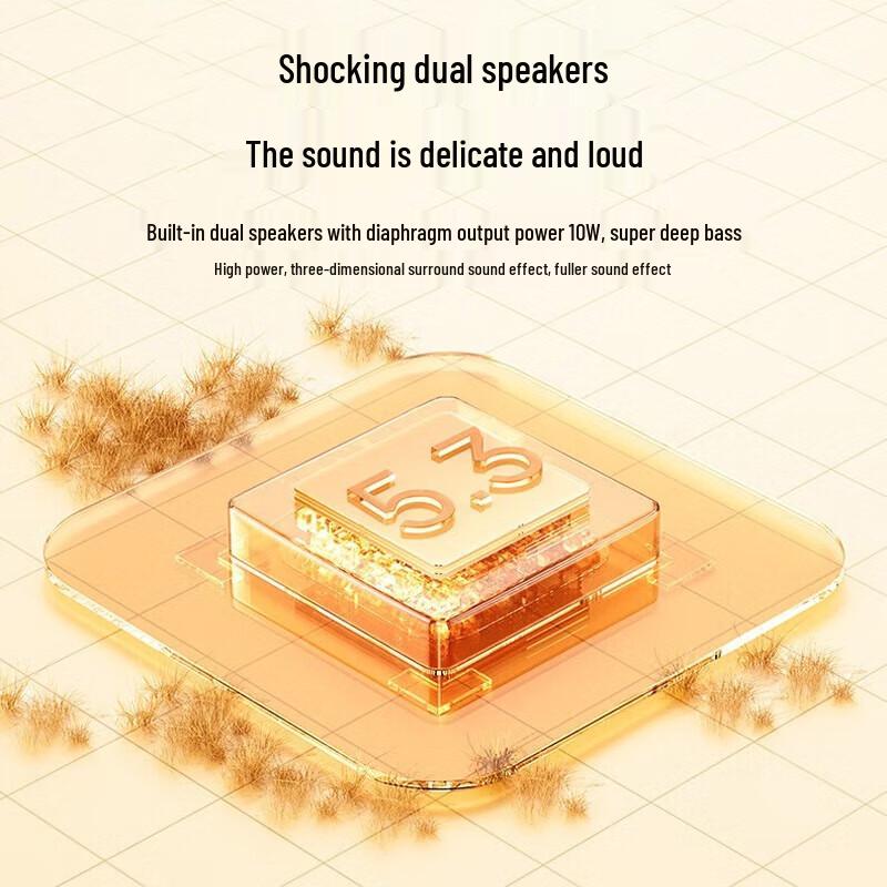 WoPin AP08 Portable Bluetooth Karaoke Speaker with Microphone