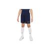 Nike Kids Shorts Moderate DR1364-451