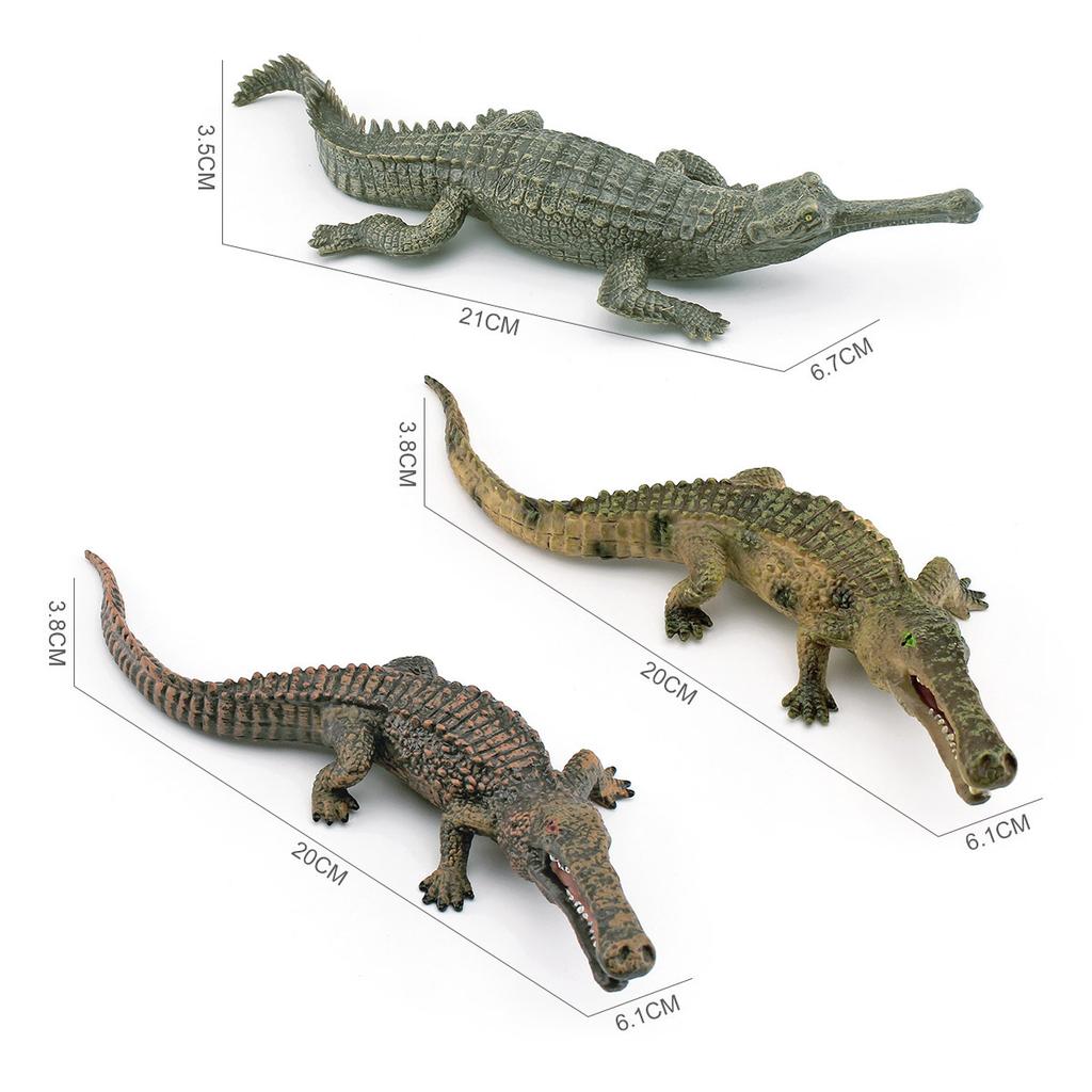 Simulation Amphibian 3 Crocodile Model Toys, Alligator Fish-Eating Crocodile Emperor Crocodile Decorative Static Ornament