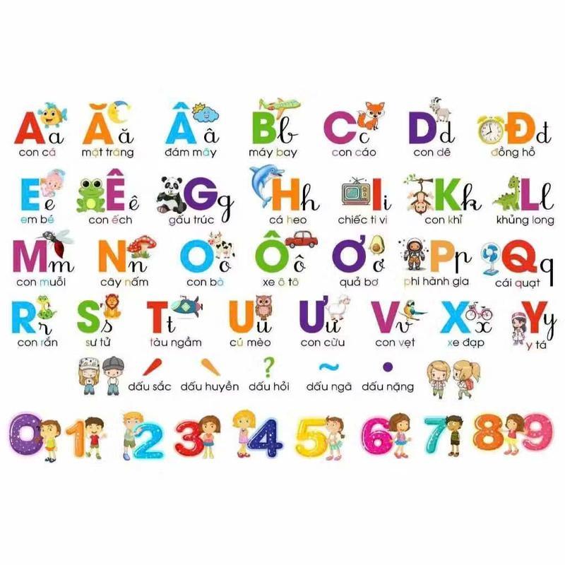 Child-Friendly Vietnamese Alphabet Decals for Vibrant Learning Environment