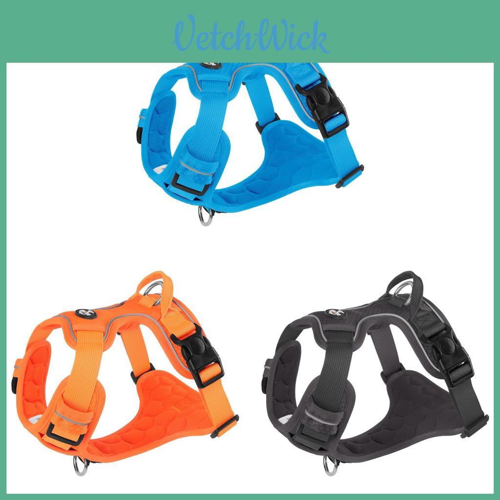 Pet Harness Vest With Nonextendable Leash For Small Dogs And Cats