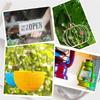 T02C!10PCS 19.7 Inch Plant Hooks For Hanging Baskets Black Hanging Chains With S Hook And Clip For Planters, Bird Feeders