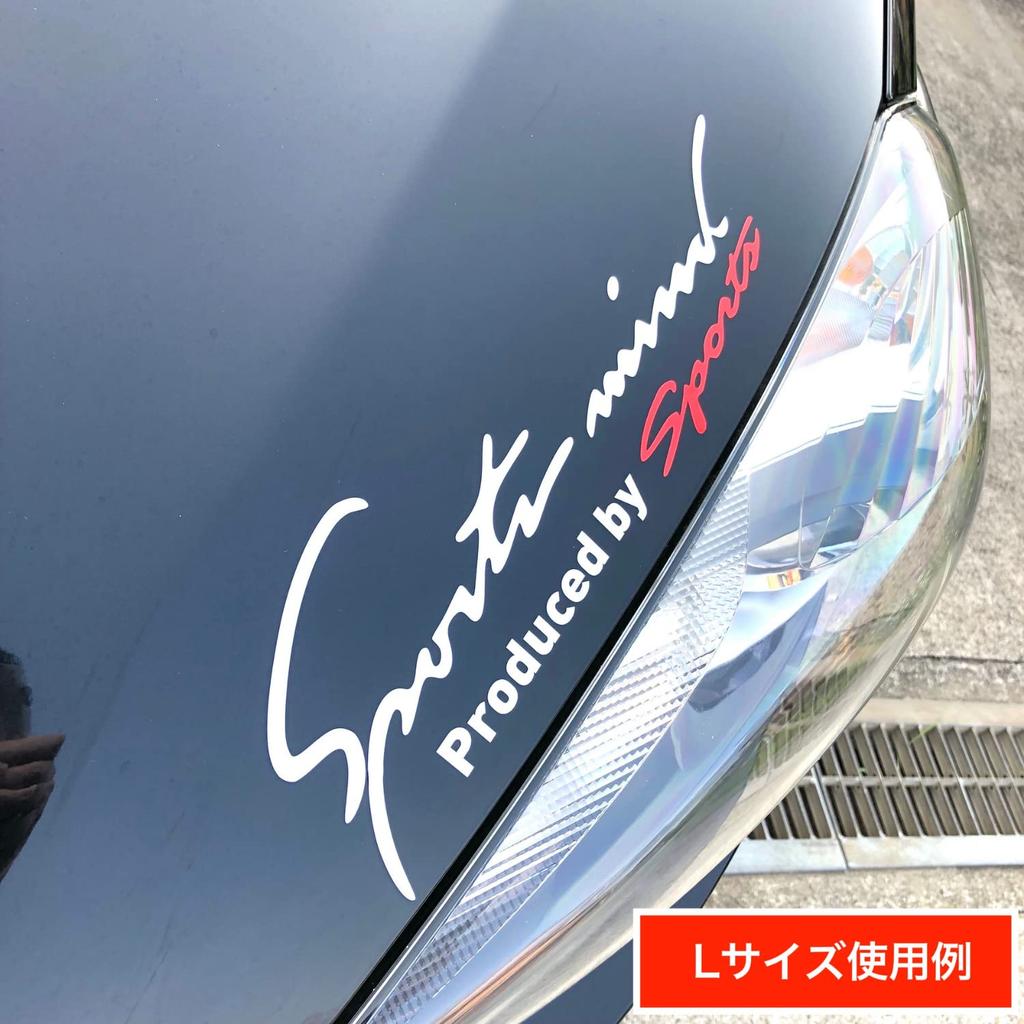 Sports Mind Universal Side 8 4 Sizes Small Car/Motorcycle Sticker/Decal, Dress-Up Sticker, Colors, (White Silver, 19x7cm)