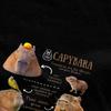 Crazy Capybara Fun Facts T-Shirts Men Women Cotton Cute Capybaras Tees Shirt Gift Idea Clothes