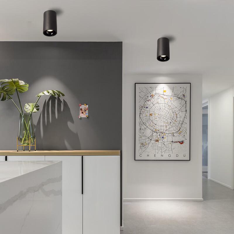 NuFeng 30W LED Surface Mounted Spotlight