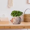 Décoration de la maison – Pots de fleur décoratifs