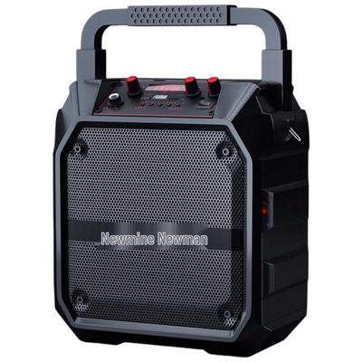 Newmine K97 Portable Wireless Karaoke Speaker with Microphone CN Plug (adapter Included)