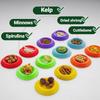 12pcs Isopods Feeder Bowls, Tiny Feeding Dish for Isopods, Springtails