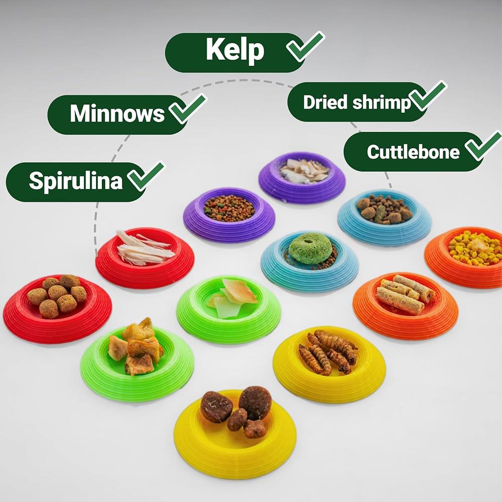 12pcs Isopods Feeder Bowls, Tiny Feeding Dish for Isopods, Springtails