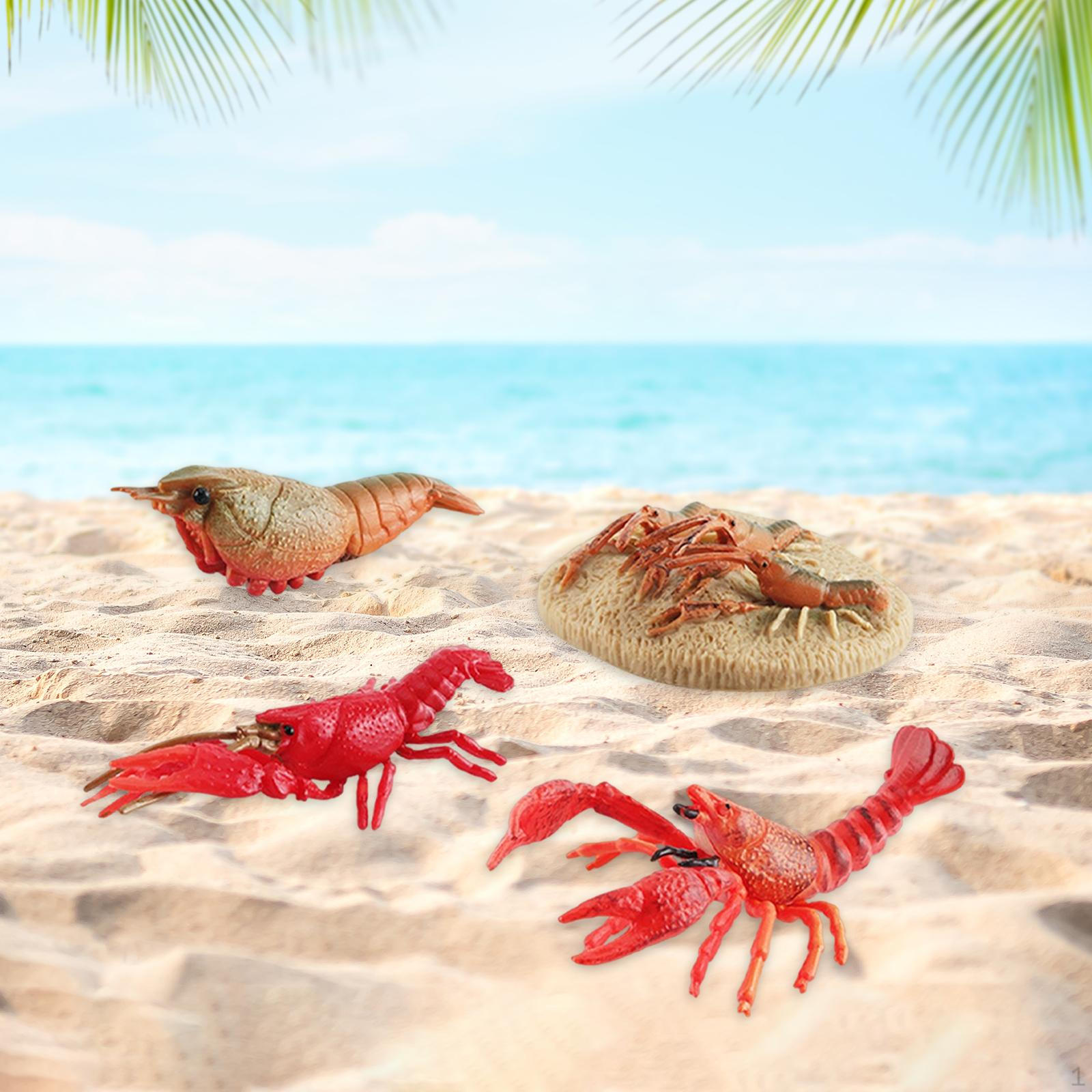 Life Cycle Animal Growth Display Learning Prop Lobster Model for Toddlers Preschool Style A