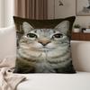 Cat Meme Kawaii Animal Funny Pillow Case Suitable For Bedrooms Living Rooms Cars Home Decoration