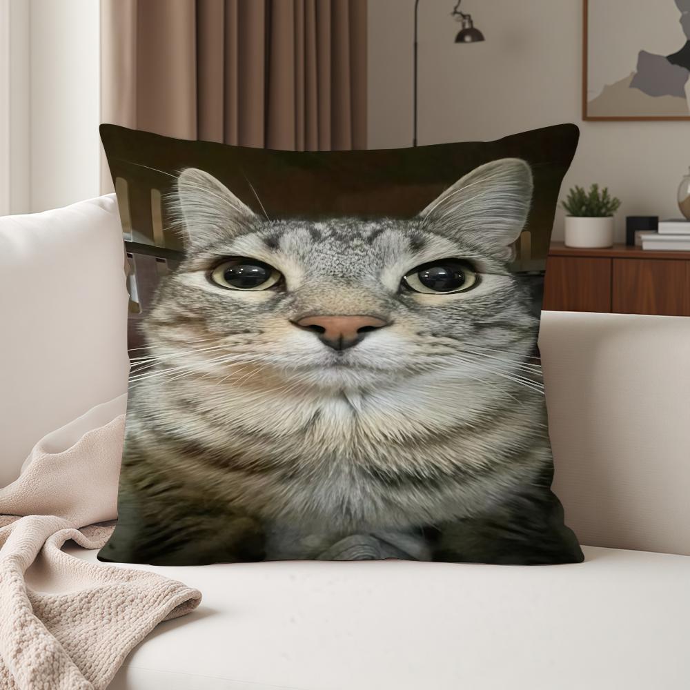 Cat Meme Kawaii Animal Funny Pillow Case Suitable For Bedrooms Living Rooms Cars Home Decoration