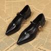 Thick Heel Design Sense Niche Shallow Mouth Single Shoes Women's Spring and Autumn New Pointed High Heel Mary Jane Small Leather Shoes