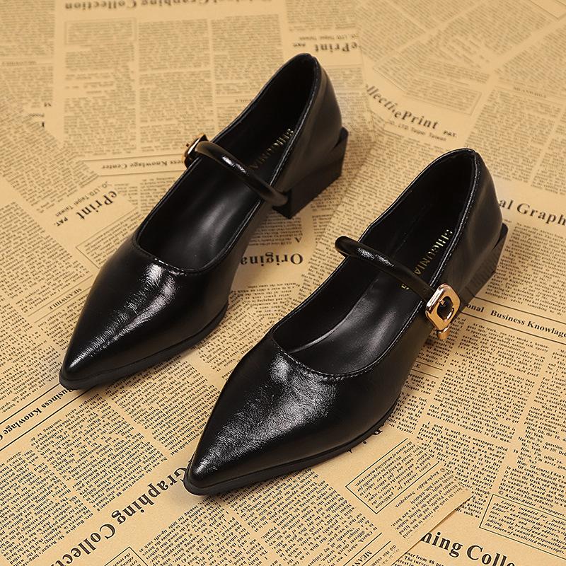 Thick Heel Design Sense Niche Shallow Mouth Single Shoes Women's Spring and Autumn New Pointed High Heel Mary Jane Small Leather Shoes