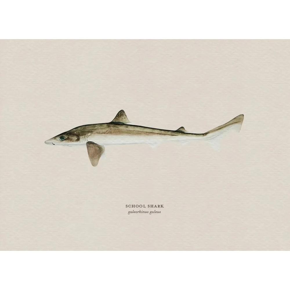 Vintage Bass Fish Trout Fly Fishing Posters Prints Canvas Painting Fisherman Retro Wall Art Picture for Living Room Home Decor