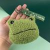Gift Key Charm Earphone Storage Bag Mini Wallet Keychain Frog Plush Coin Bag Zipper Coin Purses