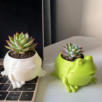 Maceta con Forma de Rana Impresa en 3D para Interior y Exterior, Forma de Animal, para Suculentas, Hierbas, Maceta Contenedor, Decoración para Hogar, Balcón, Jardín