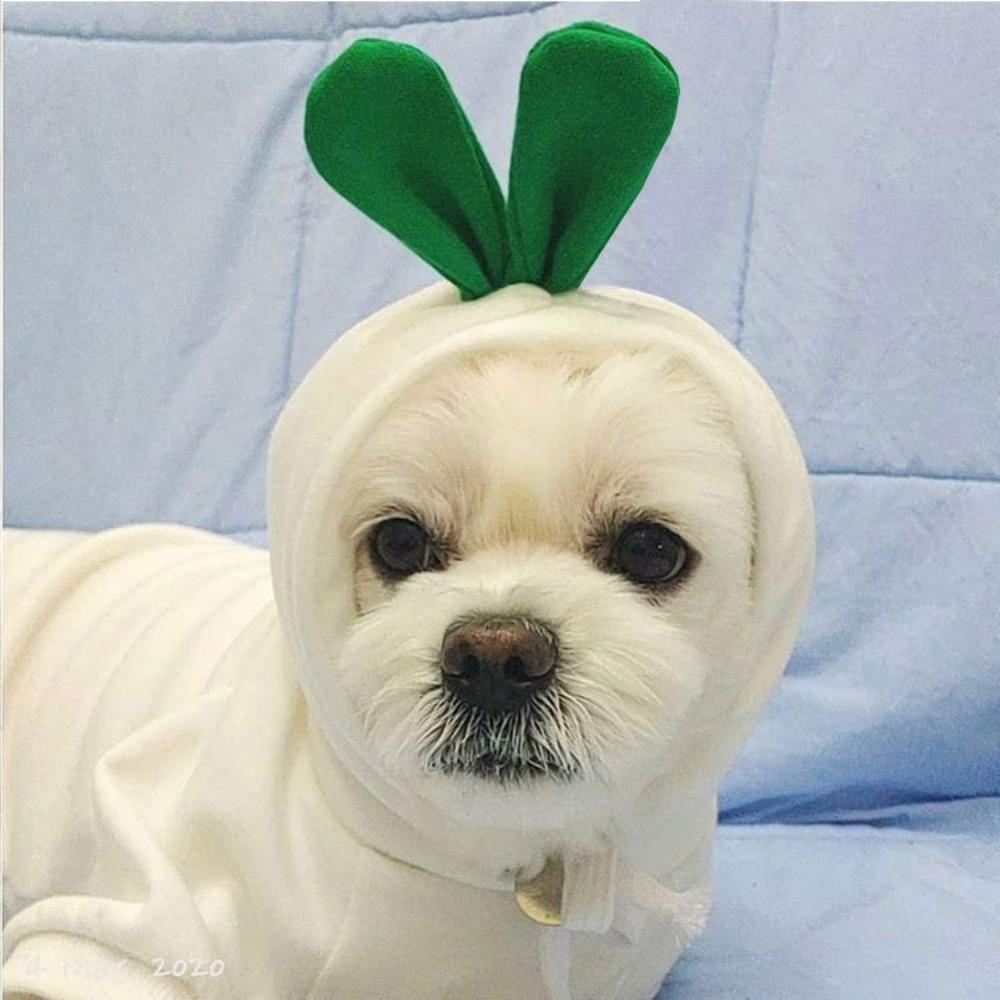New cat pet clothes autumn and winter puppy dog teddy cat velvet hooded dog sweater supplies thickened and warm
