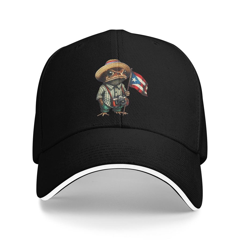 Coqui Frog Puerto Rico Flag Puerto Rican Casual Baseball Cap  Tennis Skate Trucker Hat Fashion Baseball Caps