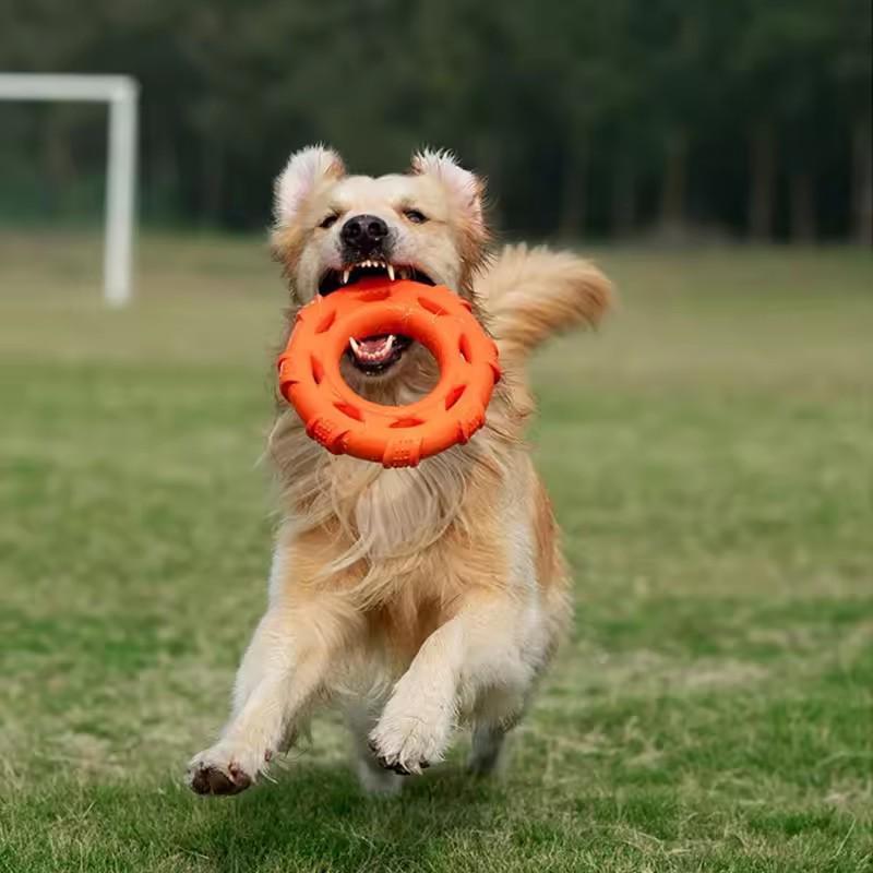 Disco Volador de Anilla de Tracción TPR Duradero Juguete para Perros Ligero Suave Interactivo para Exteriores Entrenamiento Molienda de Dientes Juguete para Masticar Para Perros Medianos Suministro de Juego de Buscar para Mascotas