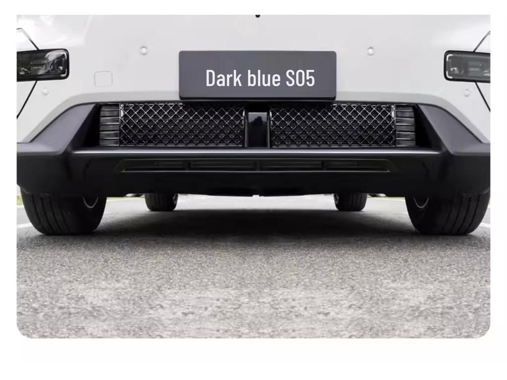 Shenlan S05 Insect and Dustproof Grille Net: Car Accessory for Modified Decoration