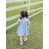 Baby Girls Dress School Style A-Line Princess Kids Casual Party Wear