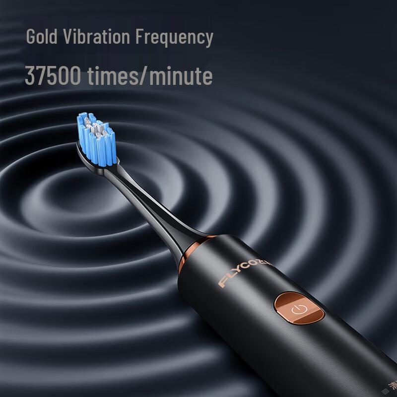 Flyco Smart Sonic Electric Toothbrush