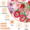 Dried Flowers Diy Pressed Flowers Stickers 104/96/94Pcs Real Natural Pressing Floral Leaves For DIY Making Art Decoration Home