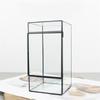 Mini Rainforest Fern Moss Ecological Square Shape Geometric Glass Terrarium Tabletop Plant Glass Vase Container Table Greenhouse