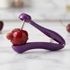 Cherry Pitter Press Style Fruit Pitter Tool for Removing Pits from Cherries and Olives with Stainless Steel Pin and Ergonomic Handle for Easy Use