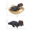Dinosaur Toy Model Set With Plastic Material For Kids And Collectors