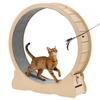 Voor dieren – Meubels voor huisdieren