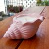 2ks Conch Candle Jar Silikonové formy DIY krabička na uložení šperků Aromaterapeutická svíčka Betonová forma ze sádrové pryskyřice Home Decor Craft