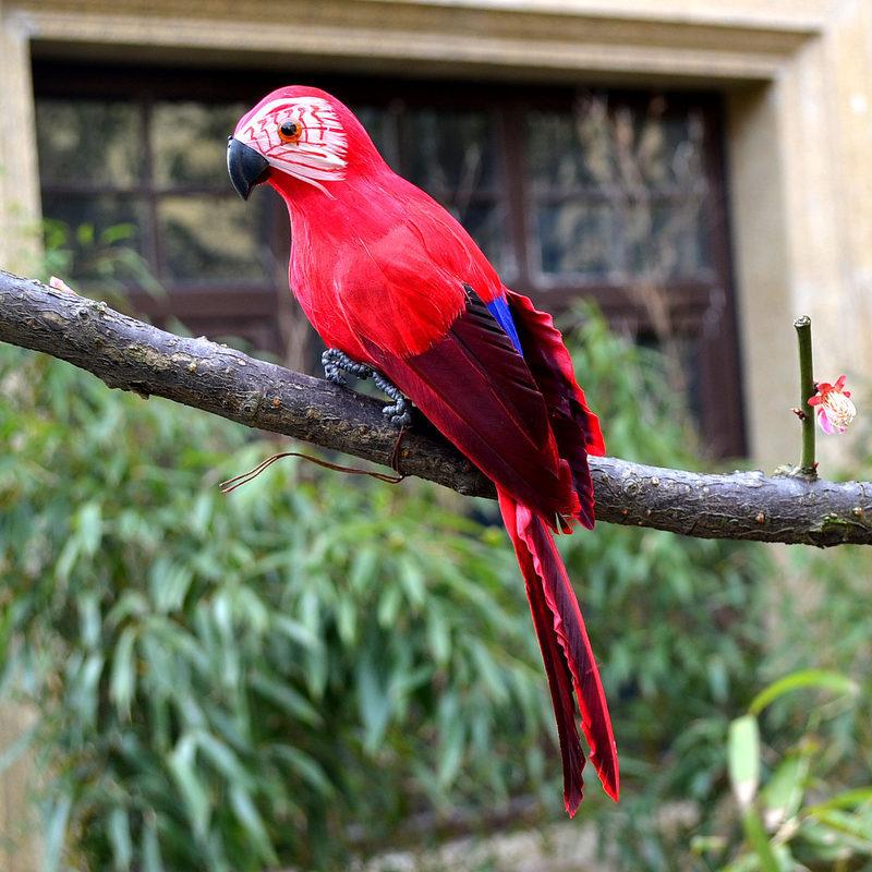 25/35cm Handmade Artificial Parrot Cute Bird Designer Decor Weeding Gift Party Garden Home Decoration