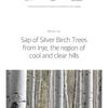 ROUND LAB - Birch Juice Moisturizing Sun Cushion