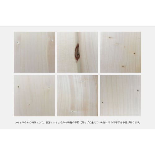 Woodpecker Ginkgo Wood Cutting Board, Made In Japan, Natural Wood, Ginkgo Wood Cutting Board with Round Handle Holes (3 Small)