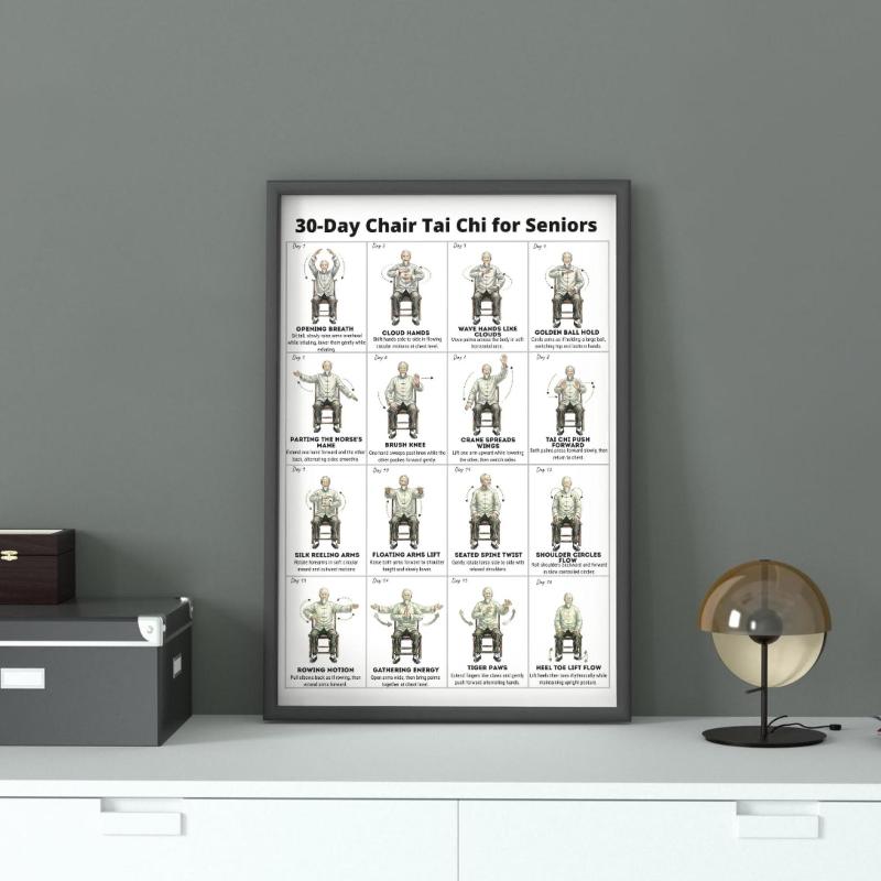 Senior Exercise Plan Poster 30 Day Daily Illustrated Workout Guide No Experience Needed for Elderly Home Fitness Use