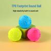 Squeaky Paw Print Ball: TPR Dog Toy for Training, Teeth Cleaning & Interactive Fun