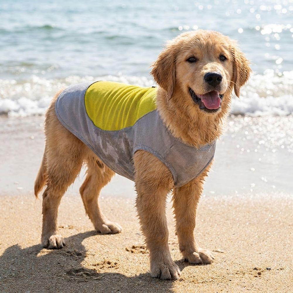Breathable Mesh Pet Cooling Shirt Ice-Silk Pet Cool Clothes Dog Cooling Ice Vest Beach Travel