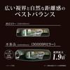 CARMATE Car Room Mirror 3000SR Rear View Mirror Edge 240mm Chrome DZ443