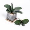 1pc Simulated Green Butterfly Orchid Leaves, High-quality Simulated Flowers, Plastic Flowers