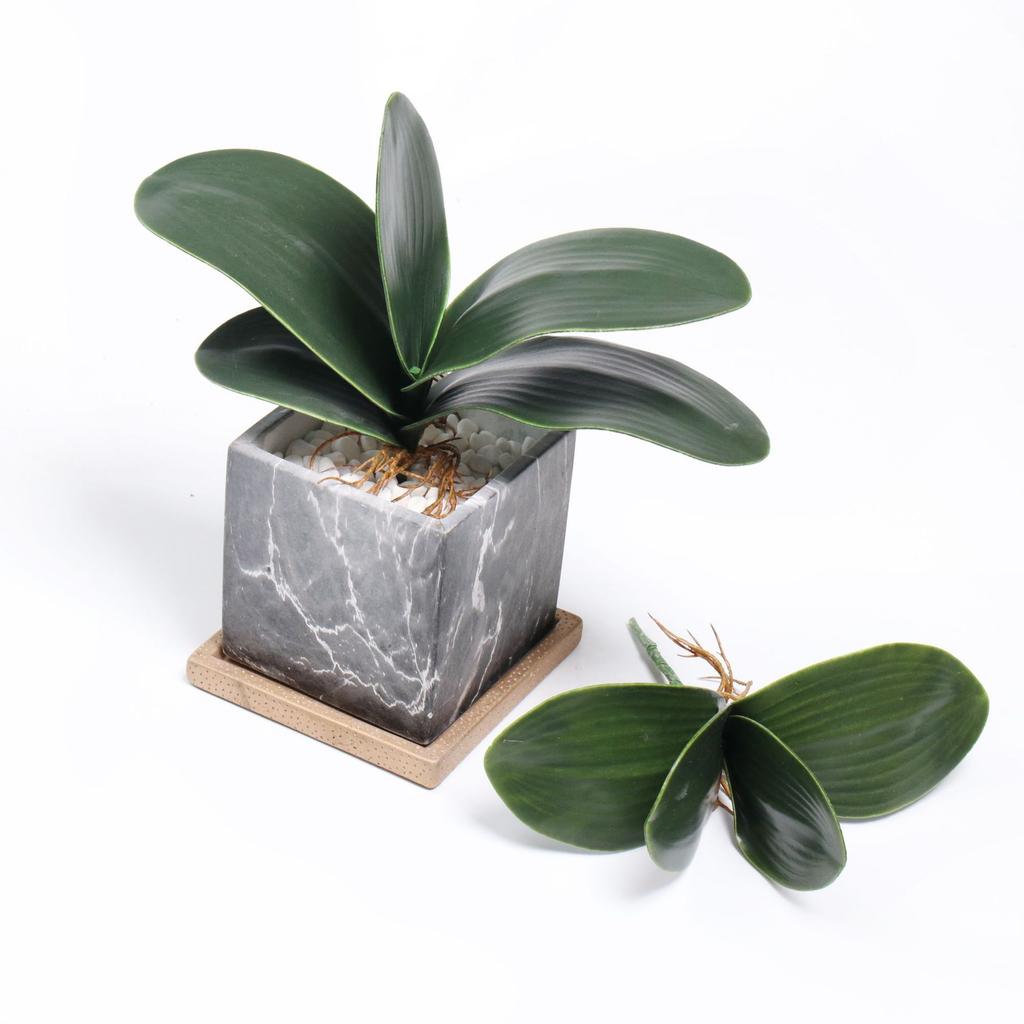 1pc Simulated Green Butterfly Orchid Leaves, High-quality Simulated Flowers, Plastic Flowers