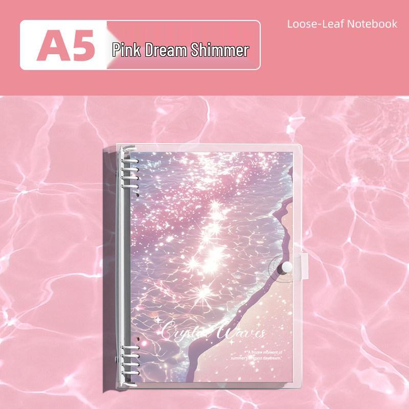 Detachable Transparent Leather Binder with 5 Notebooks for High School Students - 2026 Edition